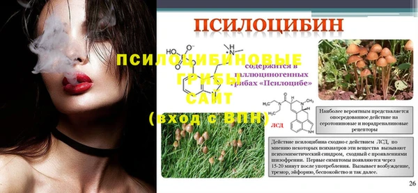 марки nbome Алзамай