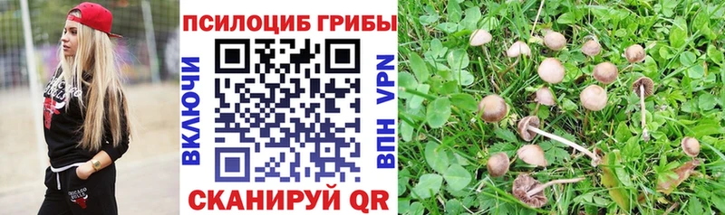 как найти закладки  Нефтекамск  Псилоцибиновые грибы мухоморы 